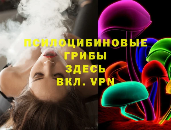 МДПВ Медногорск