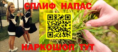 спайс Гай