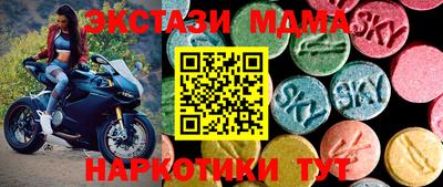 СК Гагарин