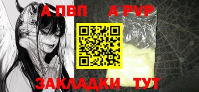стафф Гатчина
