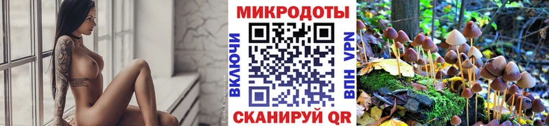 Псилоцибиновые грибы GOLDEN TEACHER  сколько стоит  Куйбышев 